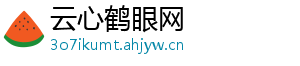 云心鹤眼网